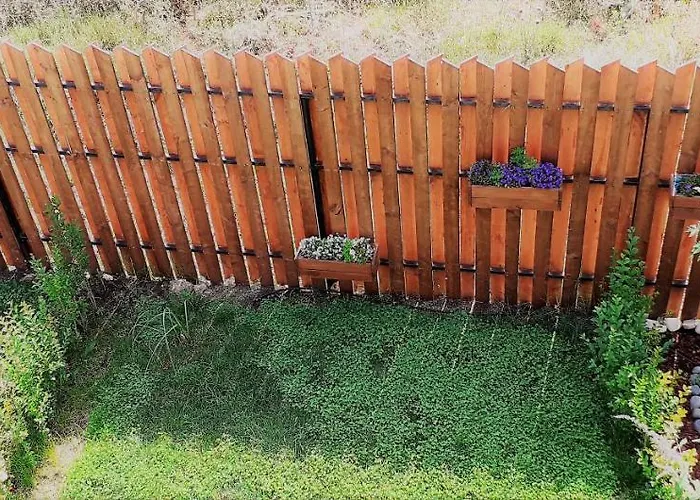 度假村 Ancient Well *